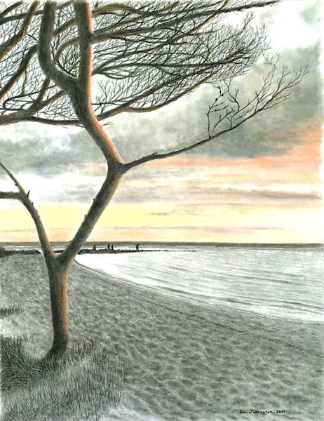 Day's End 16"x20" Print Matted to 16"x20" - Bruce Tarkington Drawings