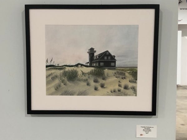 Forgotten Perfection on Pea Island - Bruce Tarkington Drawings