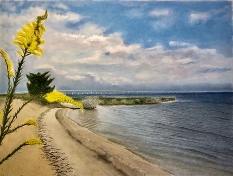 “A Goldenrod on Roanoke Sound” - Bruce Tarkington Drawings