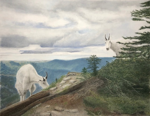 High in the Cascades - Bruce Tarkington Drawings