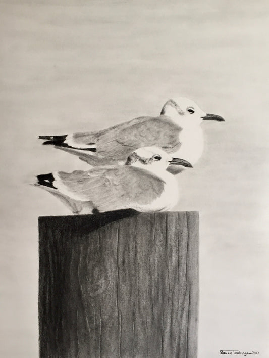 "two seagulls in beaufort on a sunday morning"   (signed 13"x16" print)